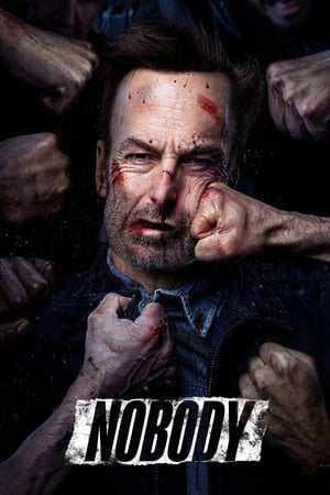 Nobody (2021) Hindi (Cleaned) Dual Audio 320MB