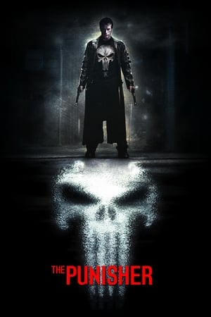 The Punisher 2004 Hindi Dual Audio 380MB